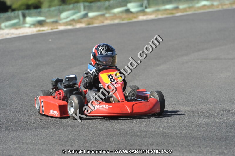 DSC (2783).JPG